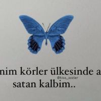 Zengin